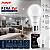 Lâmpada LED 7w 6500k Bivolt 289061376 - Imagem 4