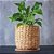 Cachepot Decorativo Fibra Natural em Cimento - Imagem 1