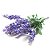 Aromatizante Concentrado Lavanda do Mediterrâneo 1 Litro - Imagem 1