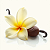 Aromatizador de Ambiente Vanilla Perfubrasil 1 Litro - Imagem 1