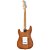 Kit SX Guitarra Stratocaster American Alder C/ Bag SXSST - Imagem 4