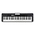 Casio Teclado Musical Básico 61 Teclas Casiotone CT-S300C2 - Imagem 2