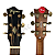 Violão Elétrico Tagima Ambience Frontier Chorus Delay - Imagem 8