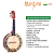 Kit Banjo Profissional Rozini RJ12 Elétrico Aro Dourado Capa - Imagem 2