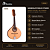Kit Bandolim Elétrico Rozini RB10 Studio 8 Cordas Completo - Imagem 2