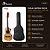 Kit Viola Caipira Ponteio Rozini Acústica Fosca Rv151 Capa - Imagem 2