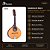 Kit Bandolim Rozini Estudante 8 Cordas Acústico RB21 Capa - Imagem 2