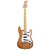 Guitarra Stratocaster SX Alder Acessórios + Amplificador - Imagem 2