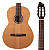 Violão Nylon Elétrico Godin La Patrie Etude EQ Profissional - Imagem 3