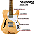 Kit Guitarra Telecaster Thinlin Strinberg SGS210T NA Capa - Imagem 2