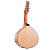 Kit Bandolim Rozini Hamilton de Holanda 10 Cordas Completo - Imagem 8