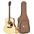 Violão Profissional Ativo Eagle CH888 Fosco Folk Aço Com Bag - Imagem 1