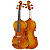 Violino 4/4 Hofma Em Madeira Abeto Verniz Com Arco Breu E Case - Imagem 3