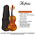 Violino 4/4 Hofma Em Madeira Abeto Verniz Com Arco Breu E Case - Imagem 2