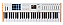 Teclado Controlador Midi Arturia Keylab 61 Teclas Mk3 Branco - Imagem 1