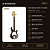 Contrabaixo Ativo Michael Music Man BMM700MBK 5 Cordas Preto - Imagem 2