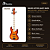 Baixo Ativo Jazz Bass Waldman Gjjf455a Spsb Spalted Sunburst - Imagem 2