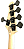 Baixo Ativo Jazz Bass Waldman Gjjf455a Spsb Spalted Sunburst - Imagem 7