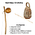 Berimbau Em Biriba Original + Baqueta + Caxixi - Imagem 2