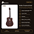 Violão Elétrico Rozini Presença Brasil Folk Fosco Rx315 - Imagem 2
