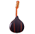 Bandolim Profissional Chorinho Rozini RB22 Brilhante 8 Cordas - Imagem 6