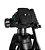 Tripé Universal 1,70m Profissional Foto e Vídeo + Suporte Para Celular Rotativo 360° - Imagem 9