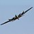 Aviao efl umx b-17g flying bnf eflu5380- Lacrado - Imagem 2