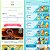 Conta Pokémon Go Nível 31 Instinct - Imagem 7