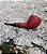 Cachimbo Devil Anse Hatfield - Imagem 2