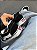 Vans KNU Feminino e Masculino - Preto/Branco - Imagem 4