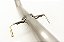 CATBACK TOYOTA HILUX GR-SPORT 2.8 224CV INOX - Imagem 4
