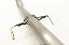 CATBACK TOYOTA HILUX GR-SPORT 2.8 224CV INOX - Imagem 5
