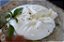 BURRATA GONDWANA - Imagem 2