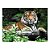 Quebra Cabeça Prime 3D Puzzle Tiger Multikids BR1059 - Imagem 1