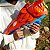 Lançador De Dardos Nerf Wild Lionfury Hasbro F8646 Laranja - Imagem 5