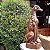 CACHORRO GALGO ESCULTURA JARDIM ANIMAL DECOR FERRO FUNDIDO - Imagem 2