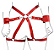 Harness para Cintura e Algemas - Imagem 2