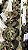 Nepenthes Mirabilis Winged × Ampullaria Black Miracle - Imagem 3
