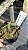 Nepenthes Merrilliana - Imagem 1