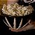 Bowl Skeleton - Imagem 9