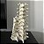 Luminária Coluna Vertebral - Imagem 4