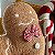Almofada Gingerbread - Imagem 7