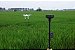 Drone Phantom 4 Multispectral + D-RTK GNSS Mobile Station - Imagem 3