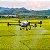 Drone DJI Agras T20 P - Imagem 3
