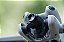 Lente grande angular DJI Mini 4 Pro - Imagem 1