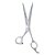 Tesoura Profissional Reta Prata 7.5'' - Imagem 1