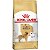 Ração Royal Canin Breed Health Nutrition Golden Retriever Adult Para Cães Adultos - 12 Kg - Imagem 1