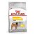 Ração Royal Canin Canine Care Nutrition Medium Dermacomfort Para Cães Adultos Porte Médio - Imagem 1