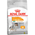 Ração Royal Canin Canine Care Nutrition Mini Coat Care Para Cães Adultos de Porte Pequeno - 2.5 Kg - Imagem 1