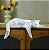Estátua Gato Branco e Gato Preto para a decoração da casa - Escultura Moderna - Imagem 4